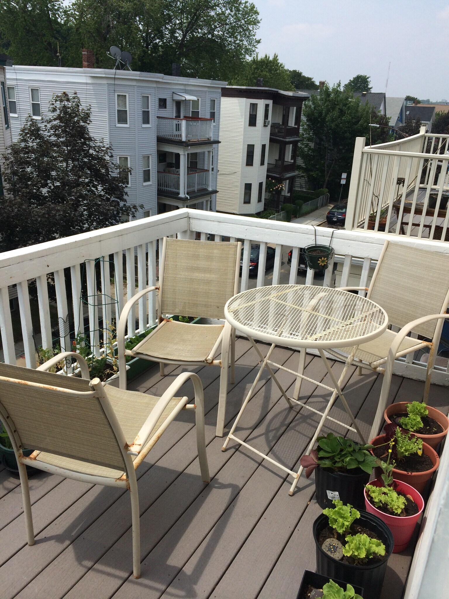 Front deck - 36 St Margaret St