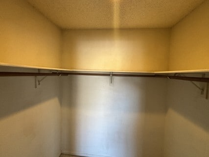 Building Photo - 4181 Gannet Cir