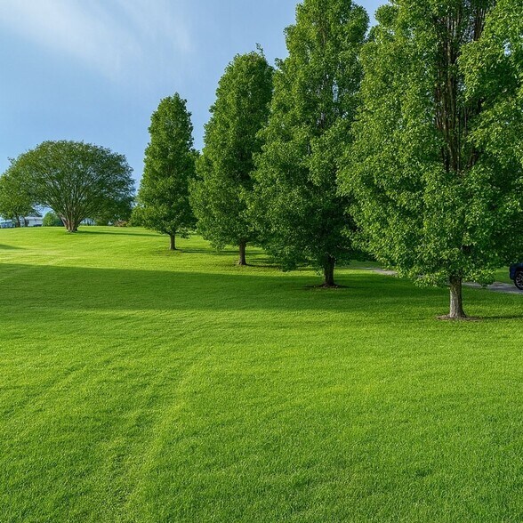 Building Photo - 543 Becks Church Rd