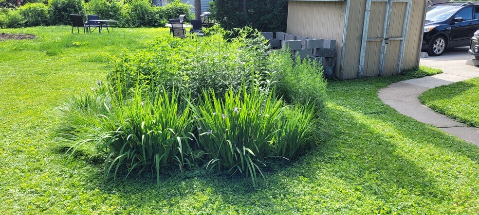Rain gardens - 925 Vilas Ave