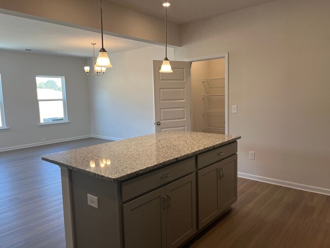 Building Photo - Beautiful Newly Constructed 3/.25 Townhome!