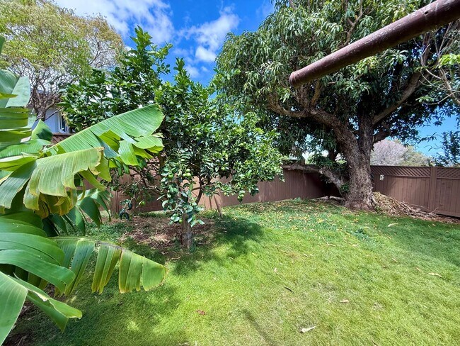 Building Photo - 3 Bedroom / 2 Bathroom Home with large yar...