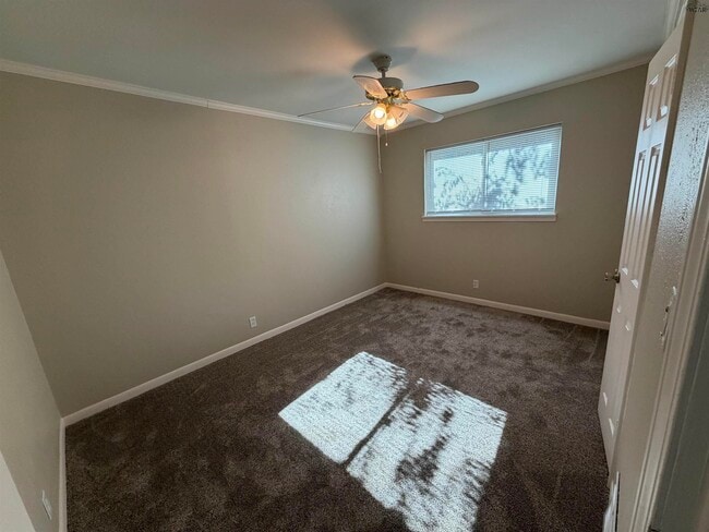 Building Photo - 5127 Parklane Dr