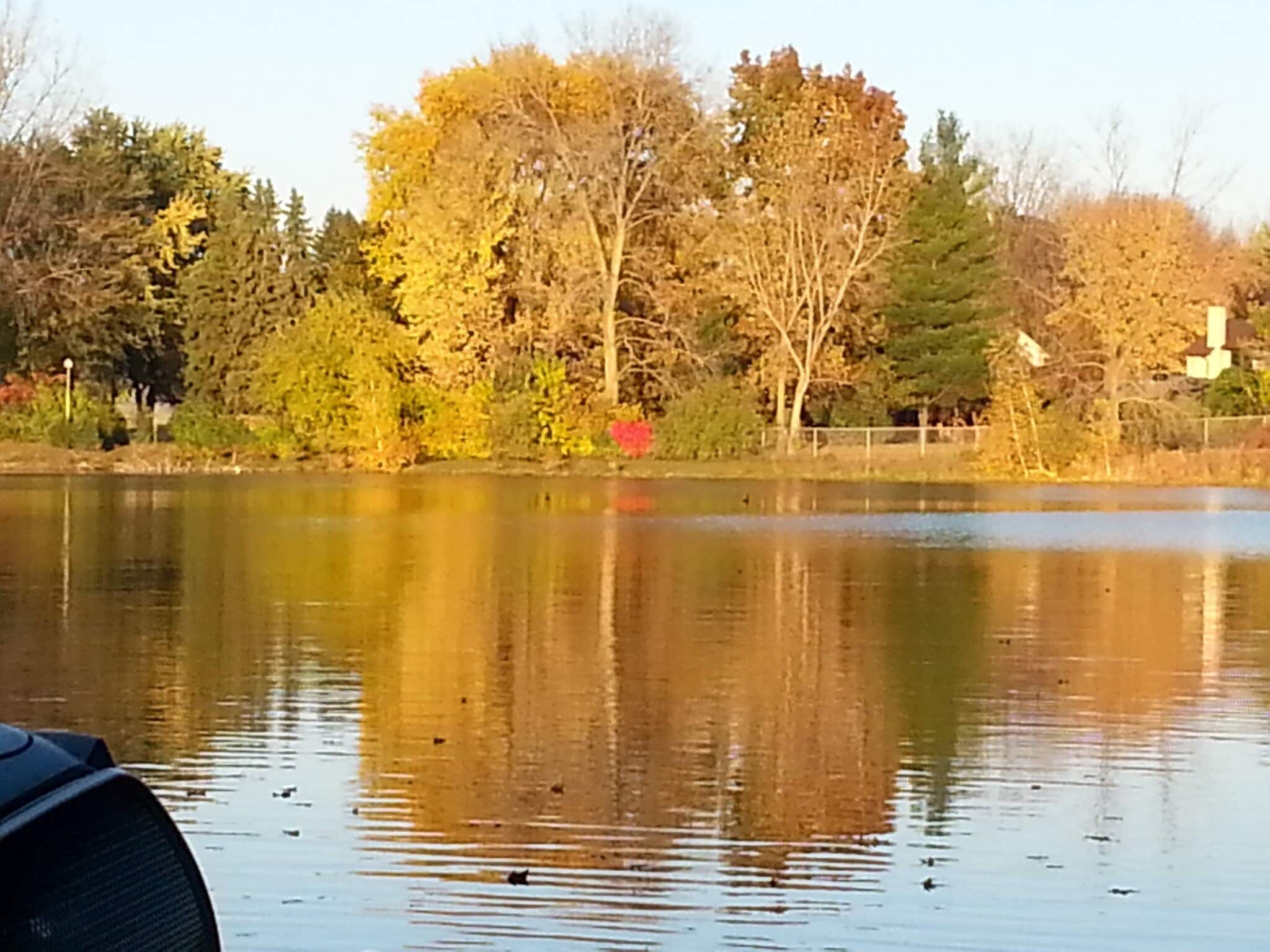 Building Photo - 11719 21 Mile Rd