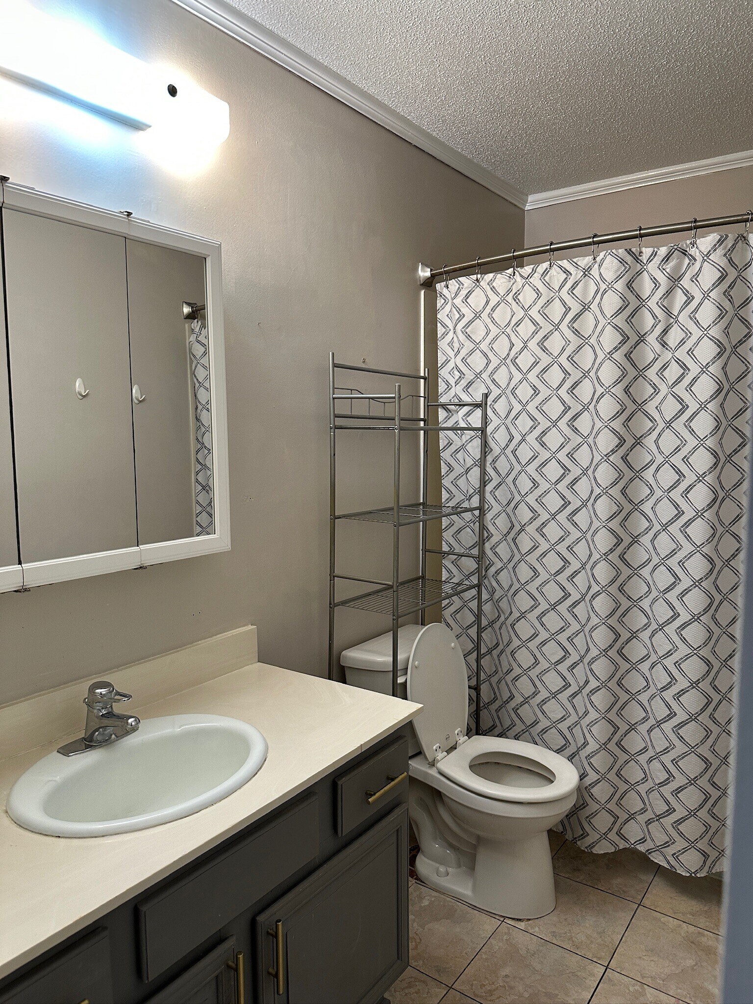 Upstairs Bath - 412 Cane Dr