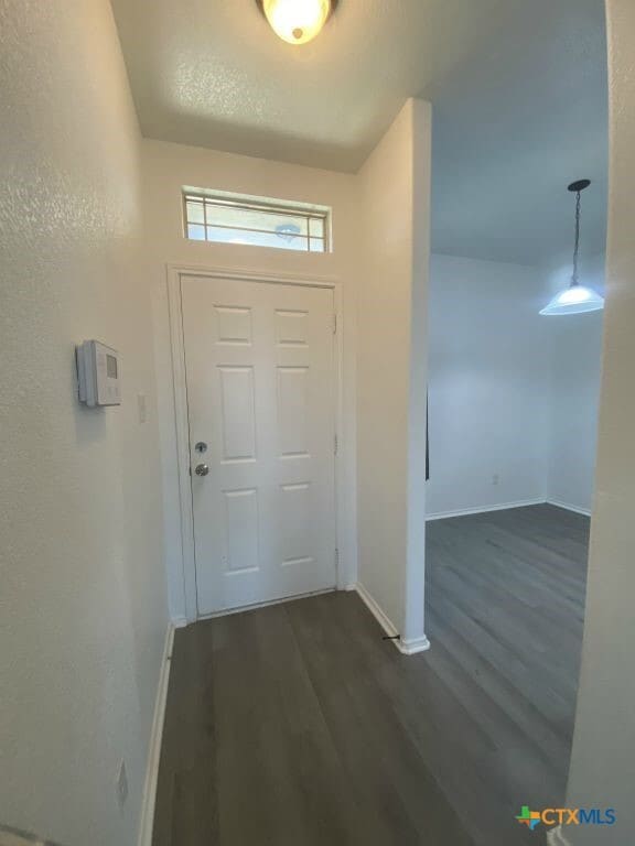 Building Photo - 2708 Hector Dr