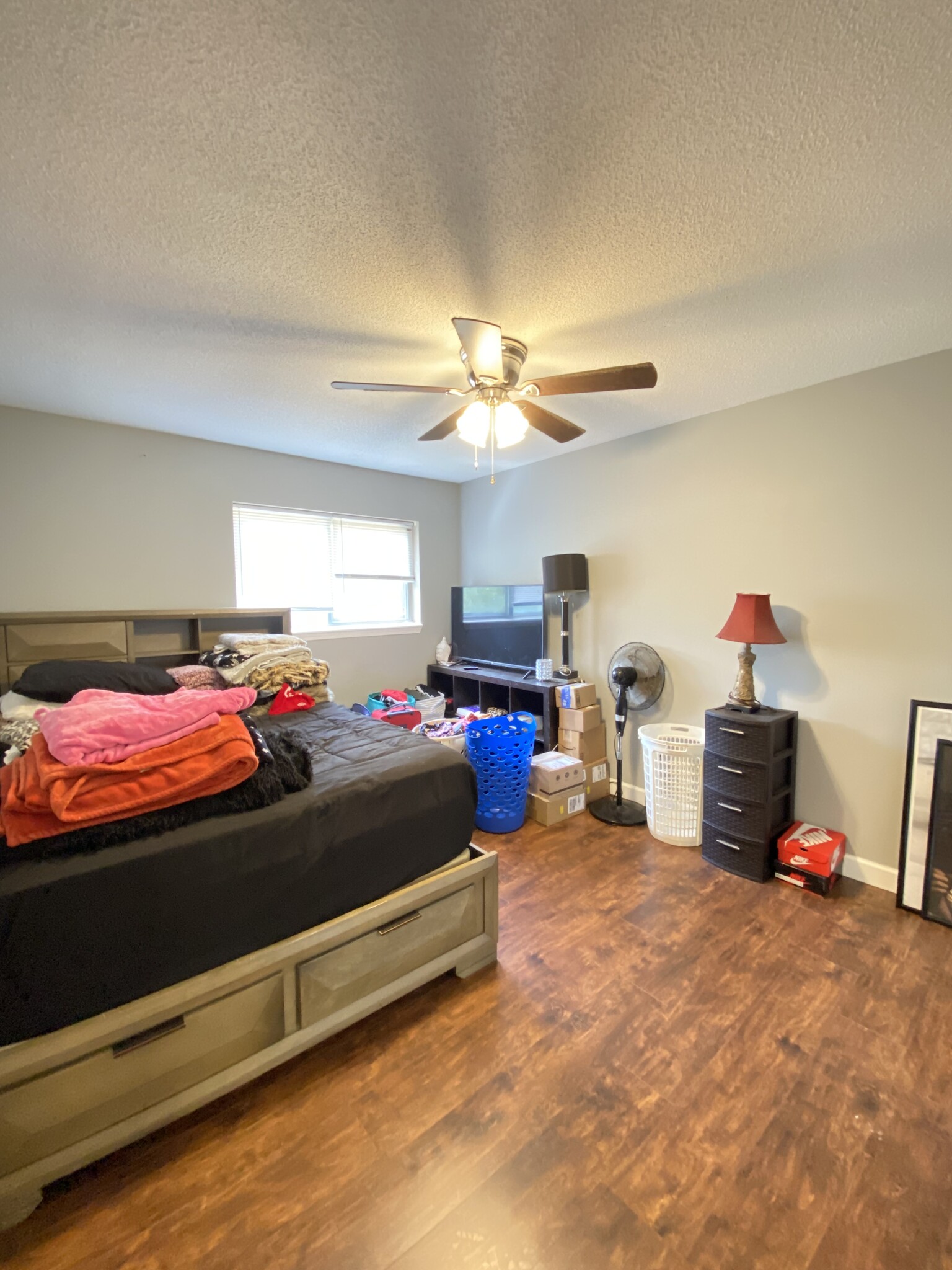 Master Bedroom - 1309 Millbrook Ct