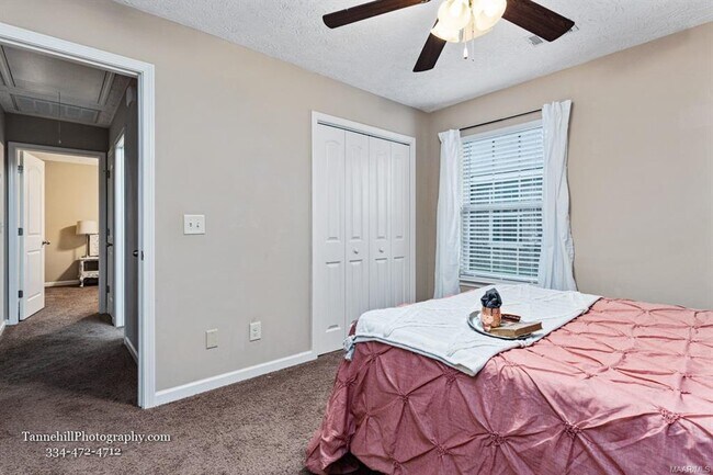 Building Photo - 1641 Buena Vista Blvd