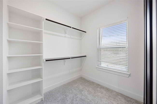 Building Photo - 4125 Shelby Cir
