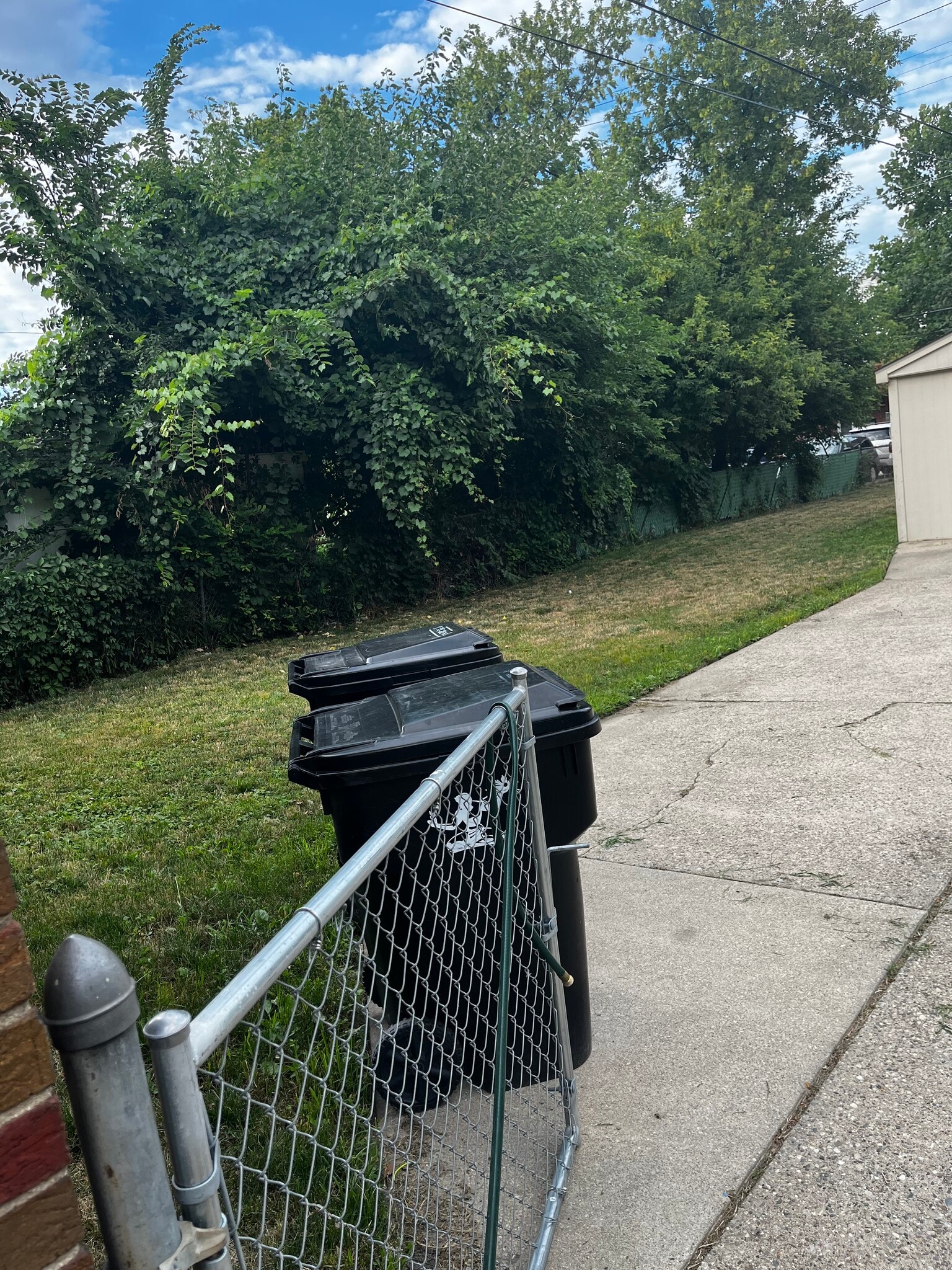 Backyard - 6012 Whittier