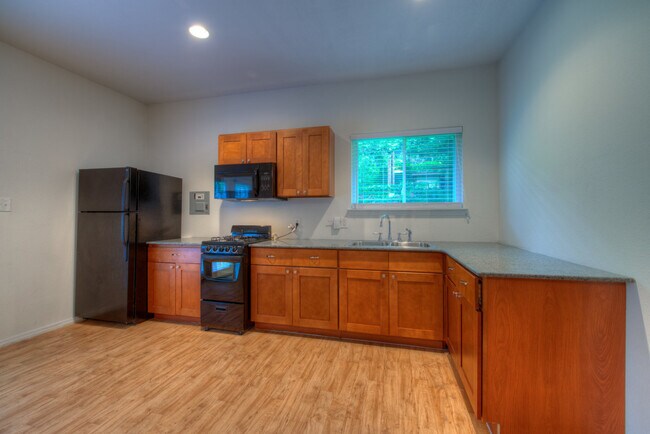 Building Photo - AVAILABLE AUGUST: Gorgeous, Remodeled 4 bed / 3 bath Hyde Park Area Home