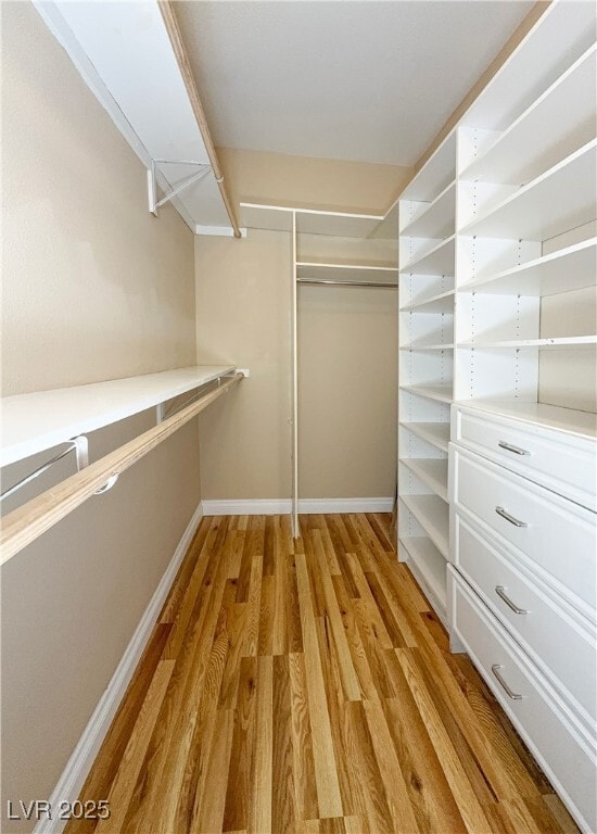 Building Photo - 1353 Robbers Roost Ave