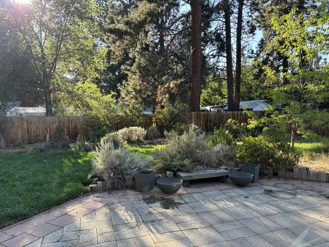 Building Photo - Peaceful Southwest Ranch Near Deschutes River