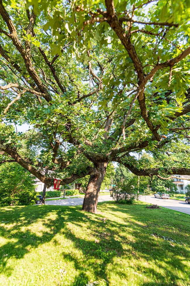 Building Photo - 700 24th Ave SE