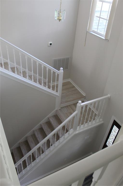 Building Photo - 11737 Carrollwood Cove Dr