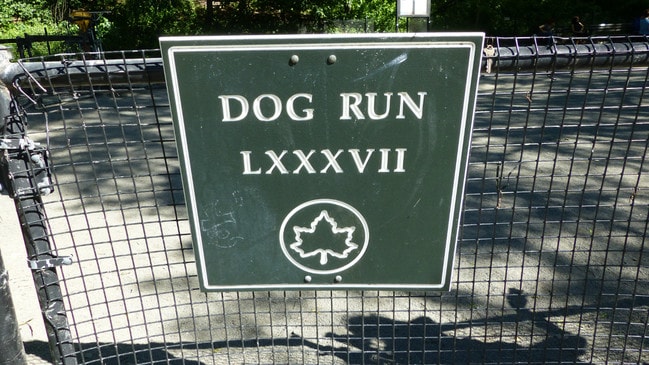 Building Photo - Super Sunny 1 BD, Panoramic Windows, Gut Renovated Granite Kitchen & Fabulous UWS Location!