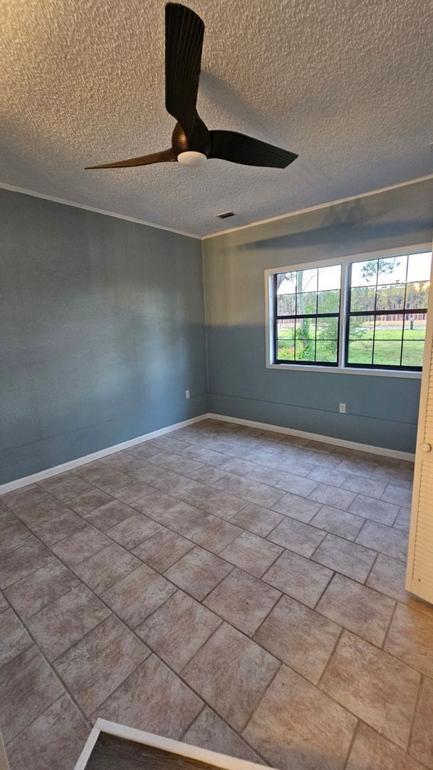Building Photo - Beautiful 4BR 2BA home in Lakeland, GA