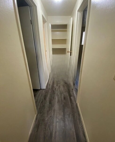 Linen closet. So much storage! - 1100 E Cedar St