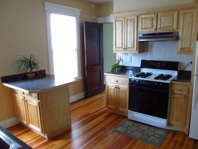 Kitchen - gas stove, ceiling fan - 127 Foster St