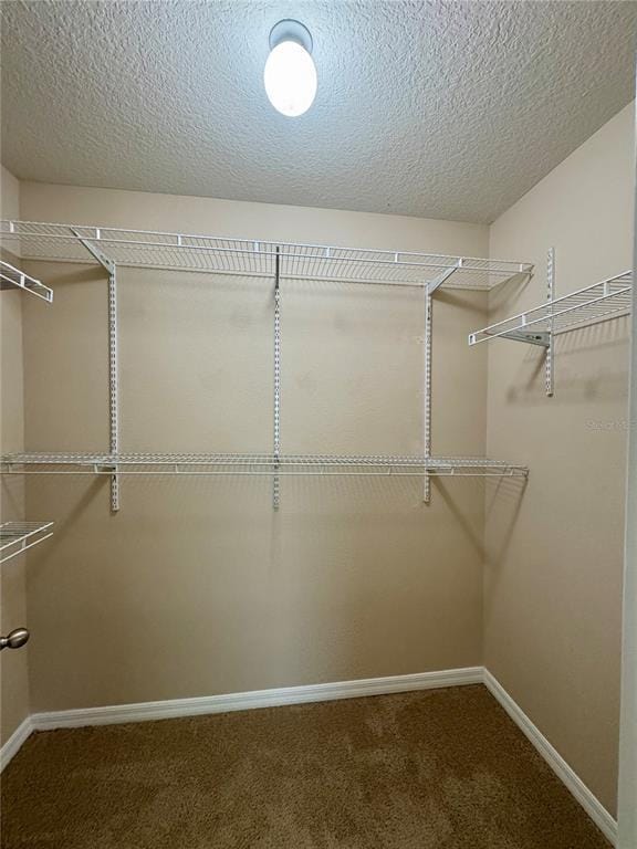 Building Photo - 6464 Boxgrove Dr