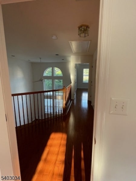 Building Photo - 33 Dorchester Dr