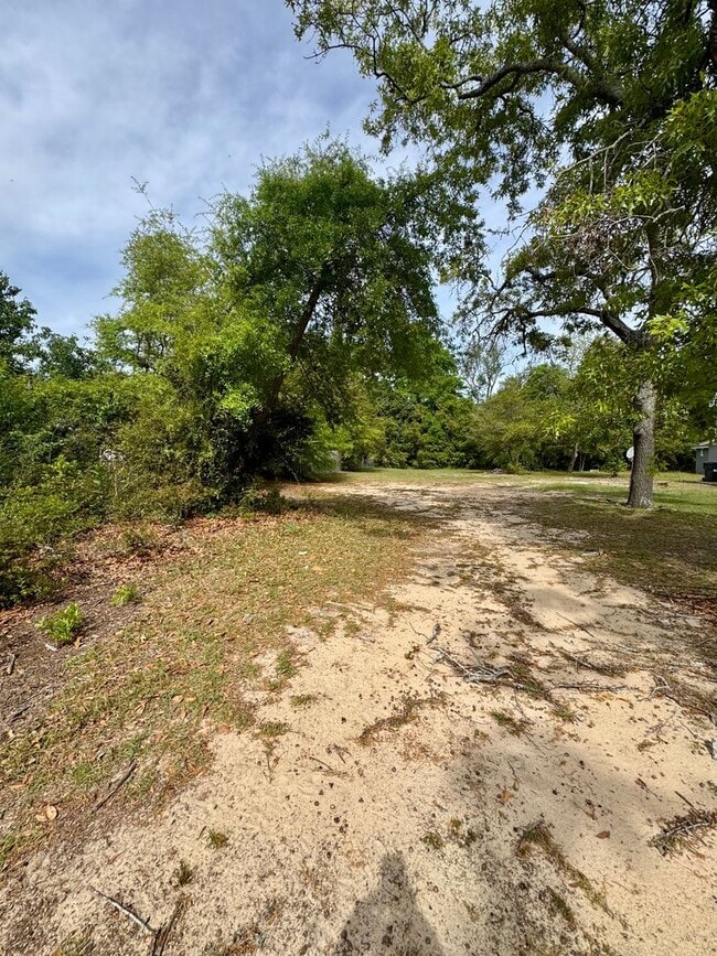 Building Photo - Unit B – Rear Home