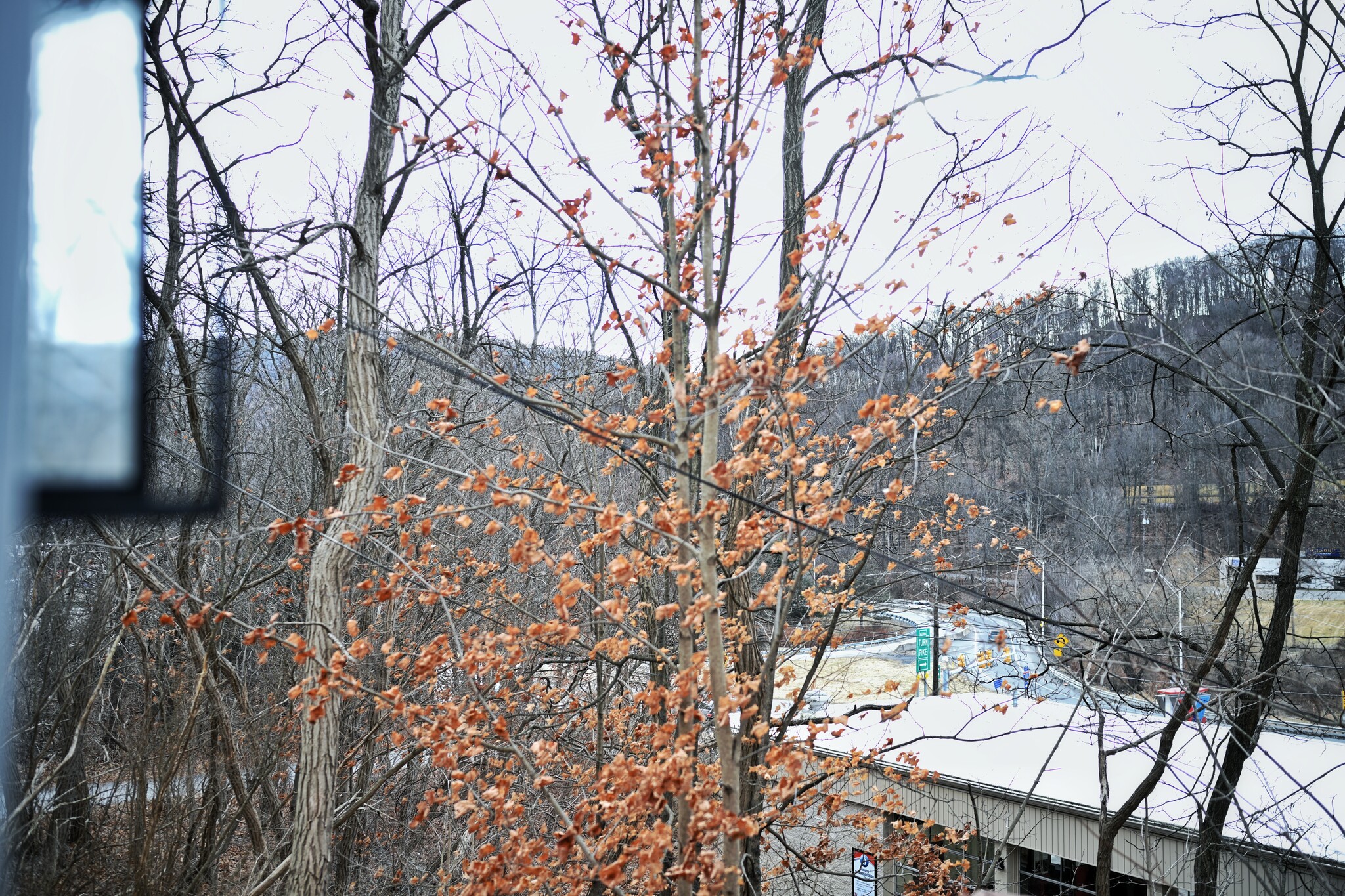 Front porch views - 105 Willowbrook Rd