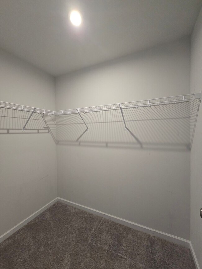 Building Photo - 800 Curlew Cir