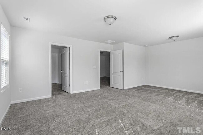 Building Photo - 1195 Chestnut Bluff Run