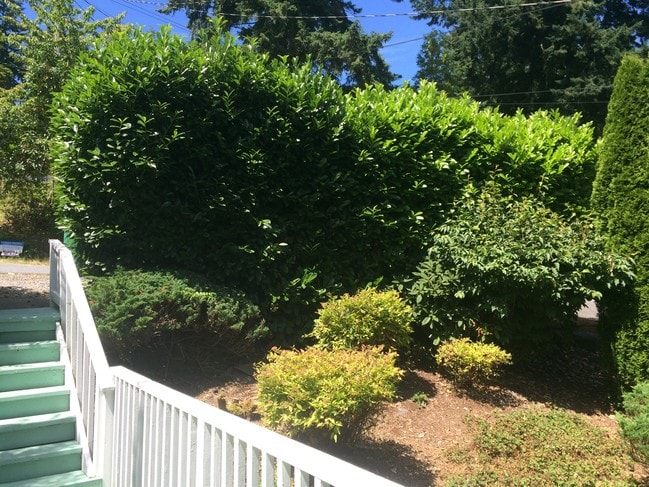 Building Photo - 19004 12th Ave NE