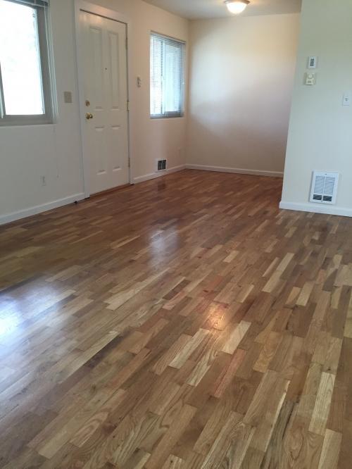 Building Photo - 1 bedroom in Seattle WA 98199