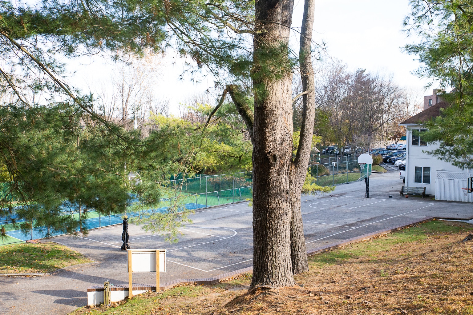 Basketball Court - 1640 Oakwood Dr