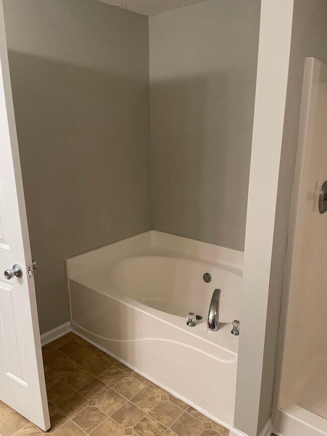 MASTER BATH TUB - 11483 S Glen St