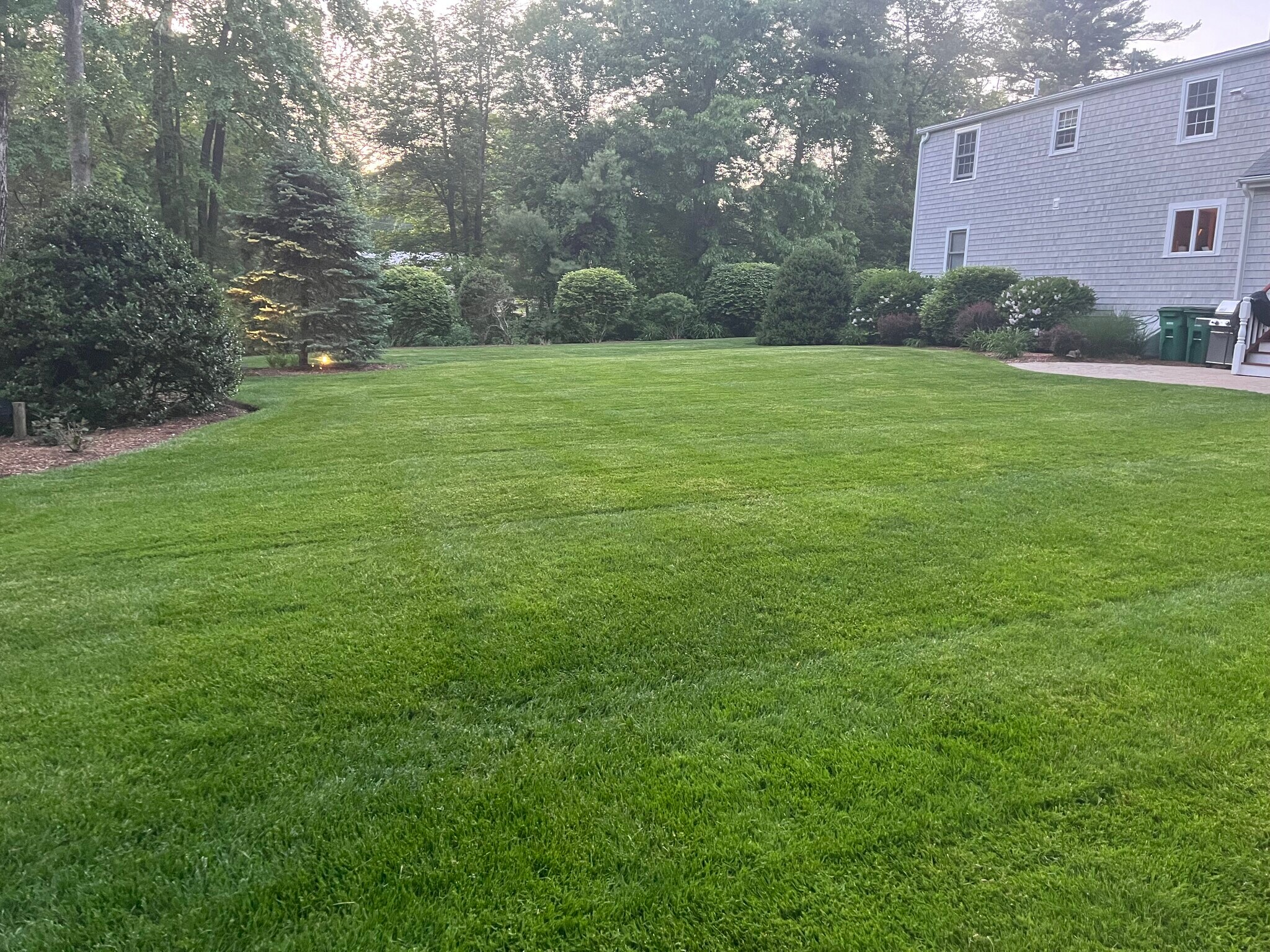 Building Photo - 16 Pelham St