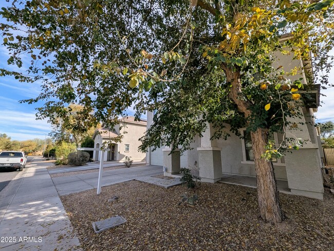 Primary Photo - 6455 W Orchid Ln