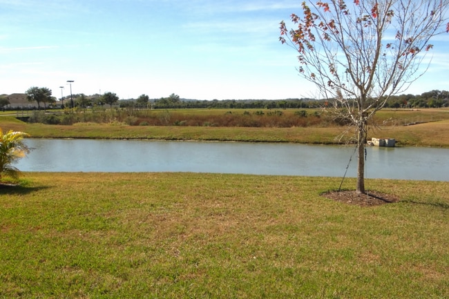 Building Photo - Brand new home in Zephyrhills