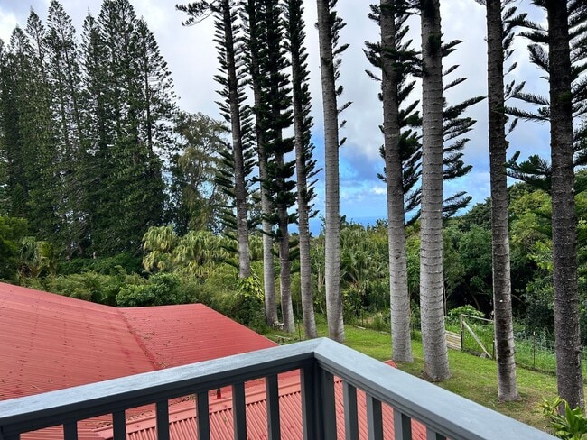 Building Photo - Furnished Luxury Ocean-View Studio | Hawi | Fiber + W/D