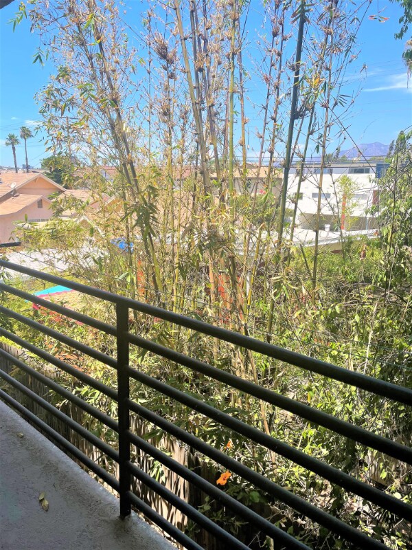 Building Photo - 503 S Adams St