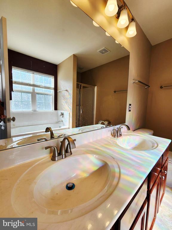 Building Photo - 2768 Fynamore Ln