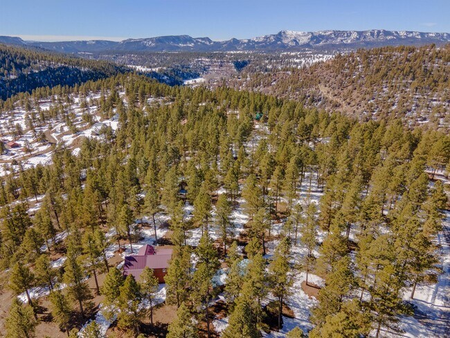 Building Photo - 1810 Shenandoah Dr