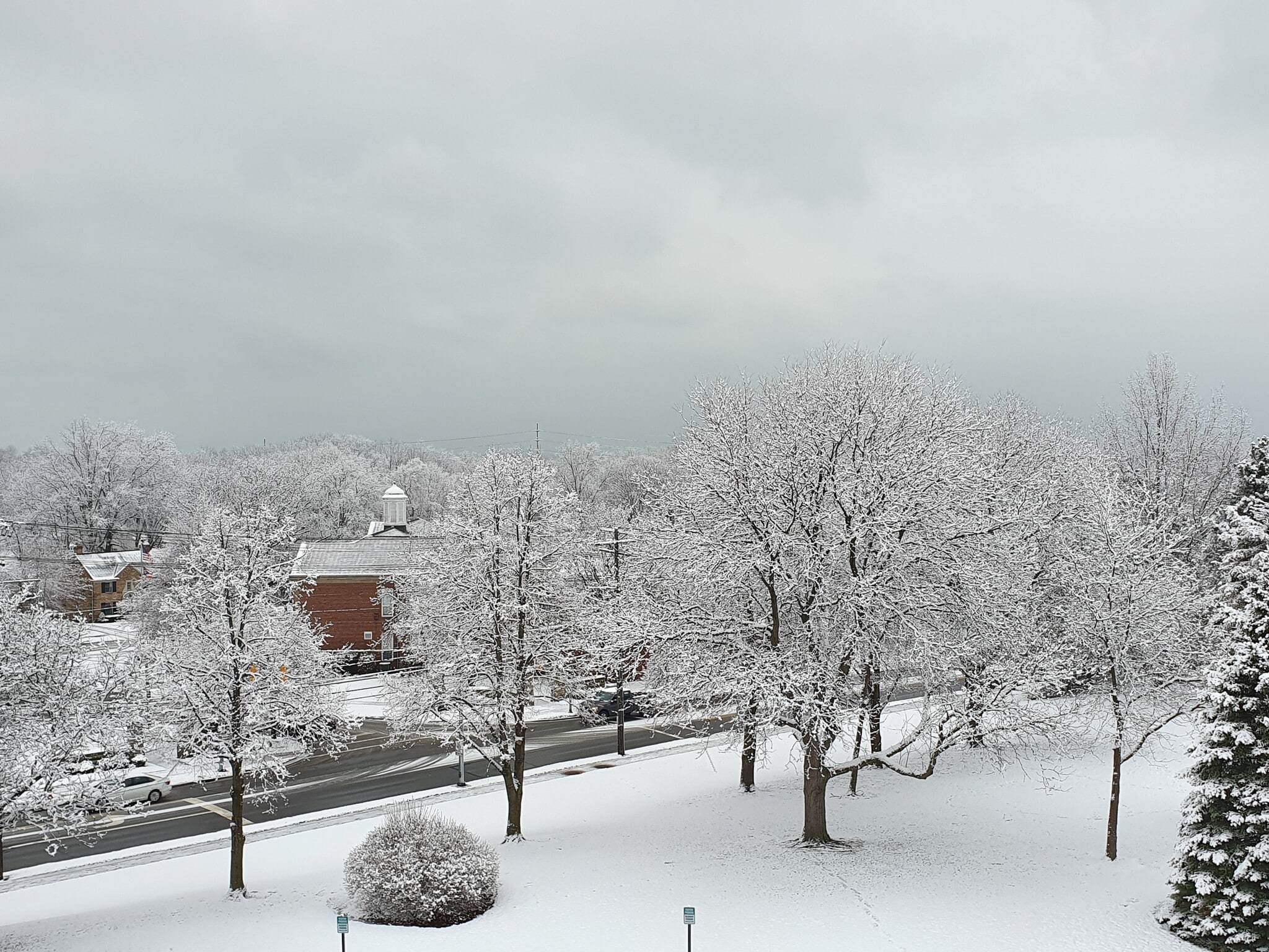 View from Living Room - 20333 Detroit Rd