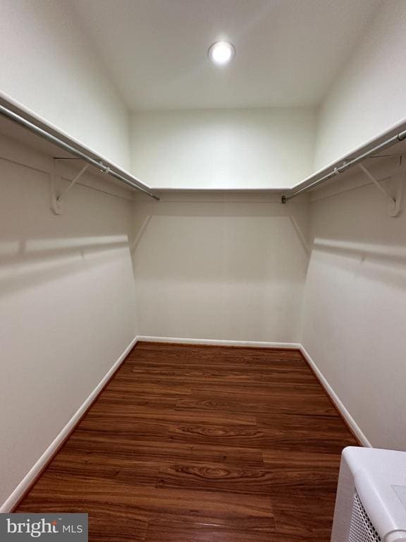 Building Photo - 307 Newman Ct