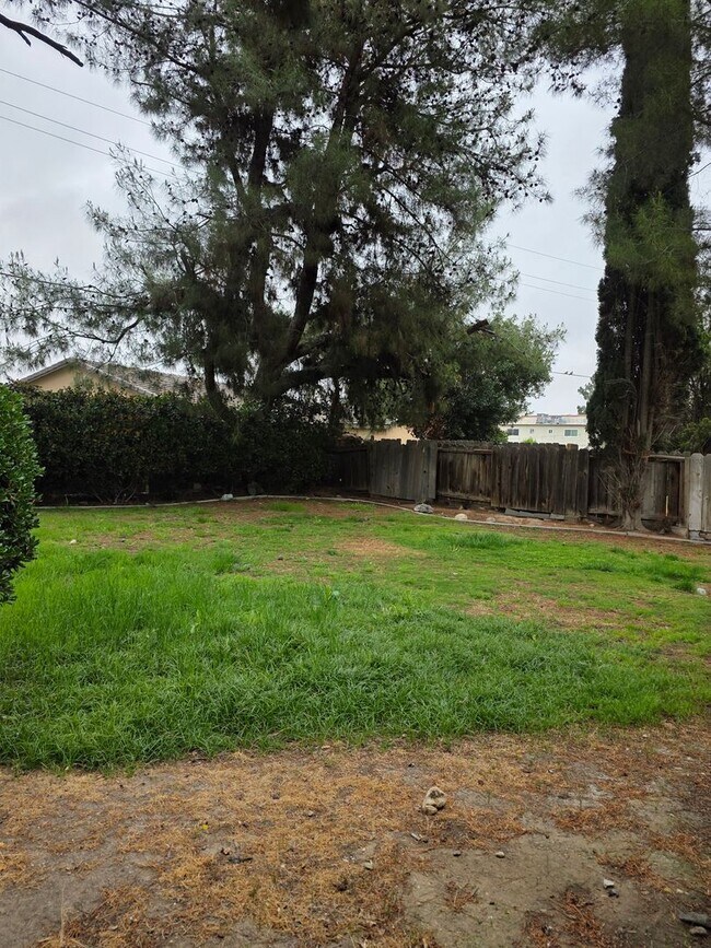 Building Photo - 3824 Christmas Tree Ln