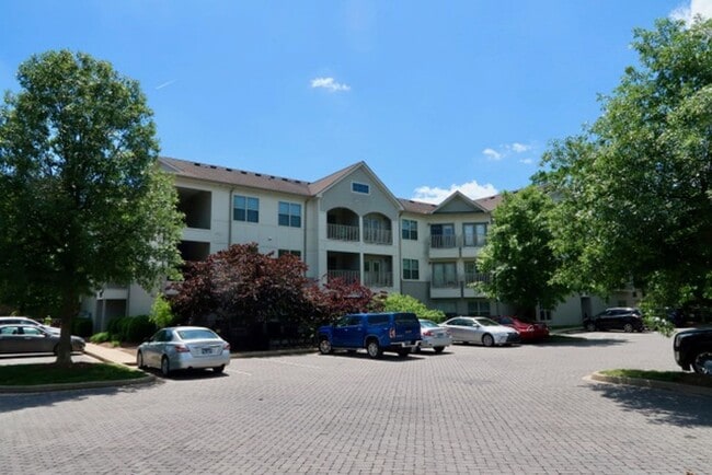 Building Photo - Cozy Studio Apartment in Vibrant Wedgewood...