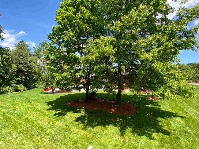 Building Photo - 95 Powers St