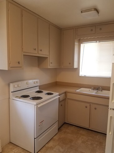 Building Photo - Single Tree Apartment Homes