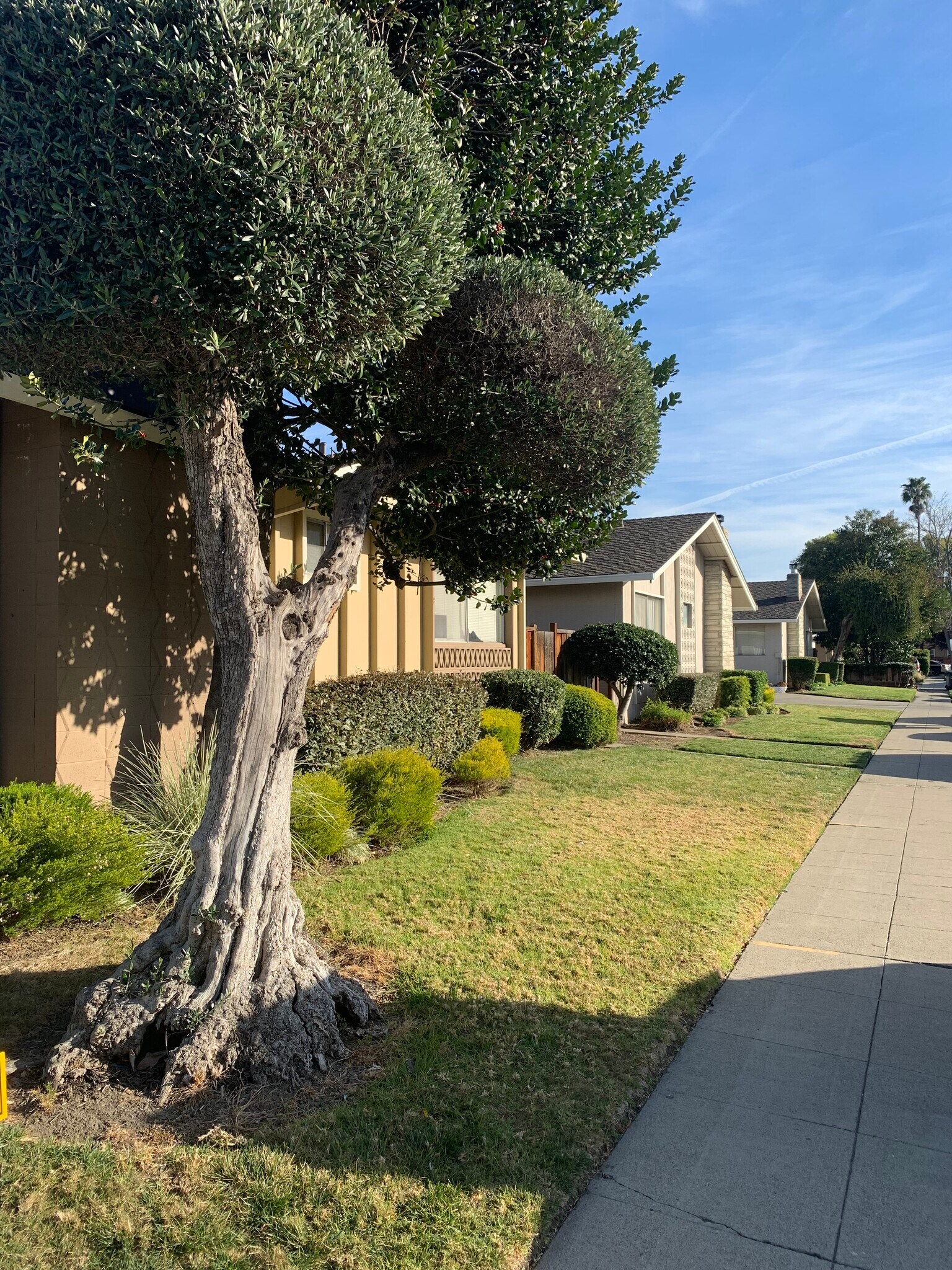 Building Photo - 84 Kim Louise Dr