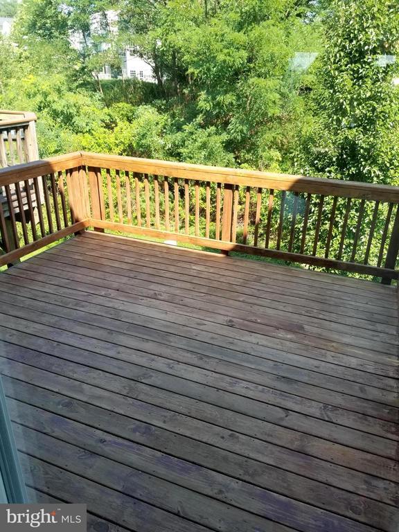 Building Photo - 41 Rapidan Dr