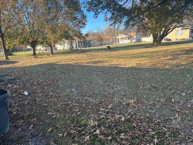 backyard - 902 W Saint Francis St