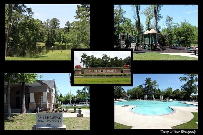 Building Photo - 1810 Carly Cove Ct